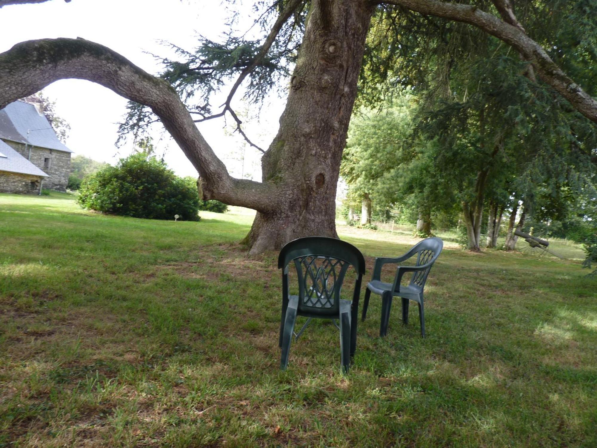Chateau De Craon Comblessac Ngoại thất bức ảnh